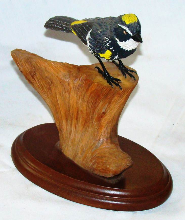 A bird on a wood piece

AI-generated content may be incorrect.