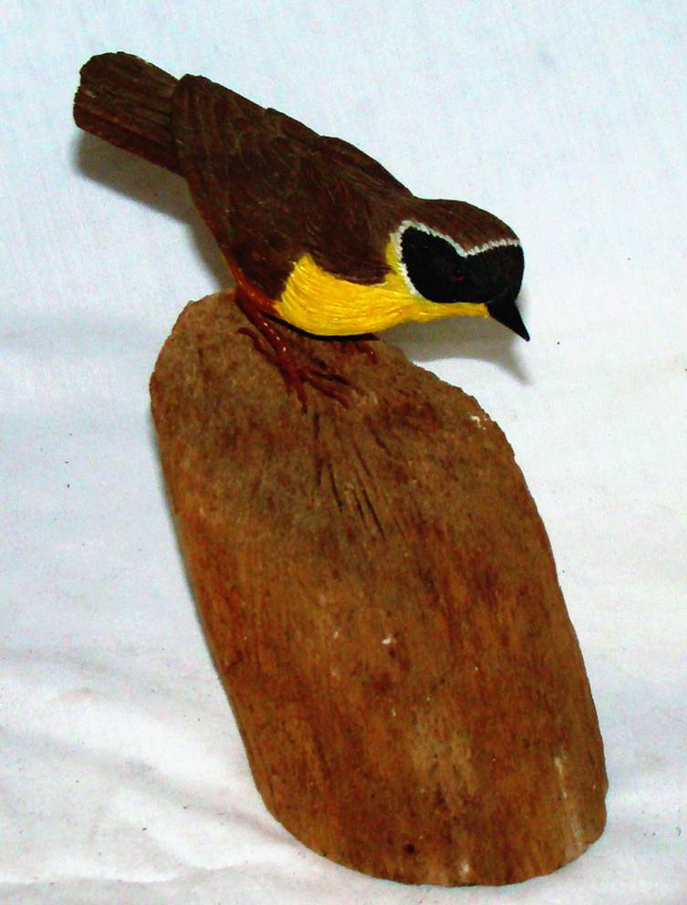 A bird on a rock

AI-generated content may be incorrect.