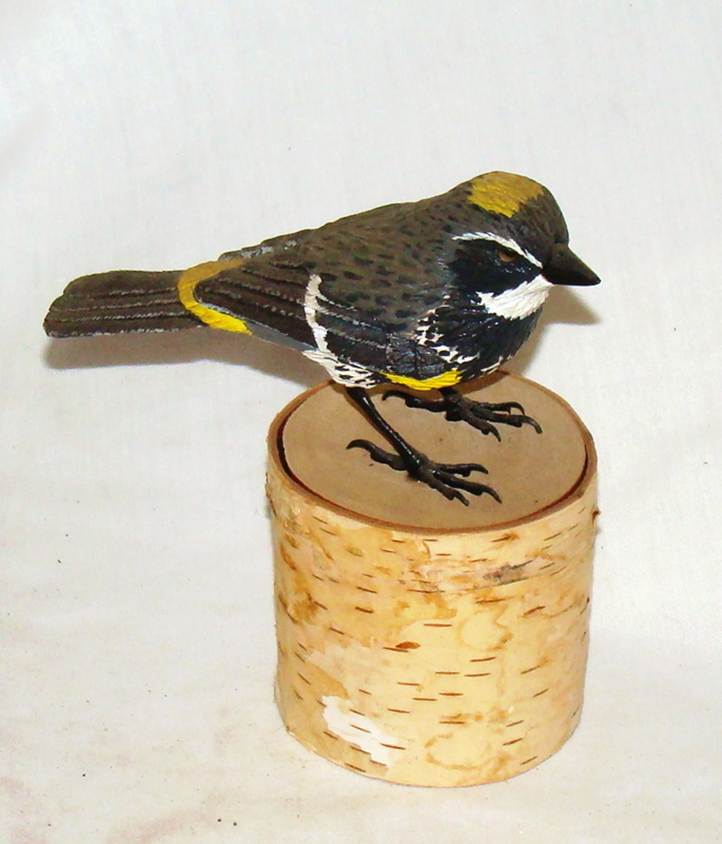 A bird on a piece of wood

AI-generated content may be incorrect.