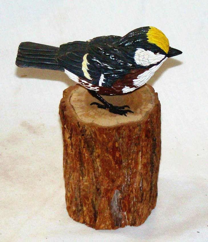 A bird on a log

AI-generated content may be incorrect.