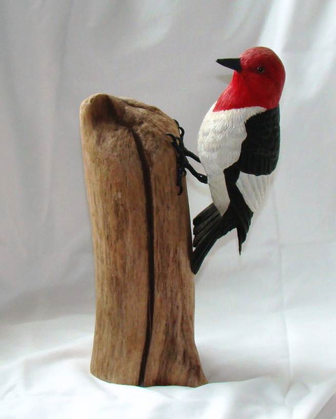 A bird on a piece of wood

AI-generated content may be incorrect.