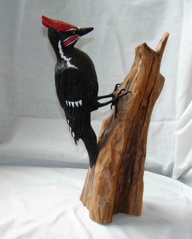 A woodpecker on a piece of wood

AI-generated content may be incorrect.