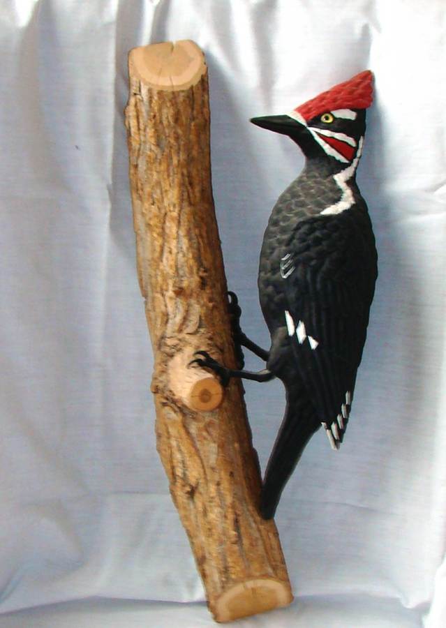A woodpecker on a tree branch

AI-generated content may be incorrect.