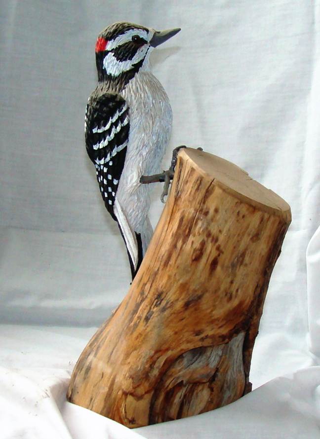 A woodpecker on a log

AI-generated content may be incorrect.