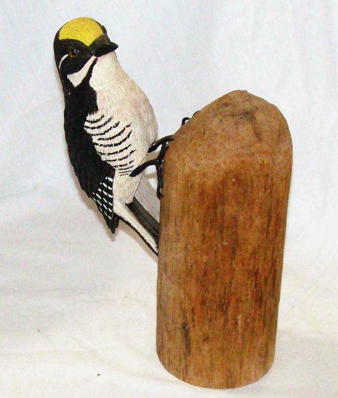 A bird on a piece of wood

AI-generated content may be incorrect.
