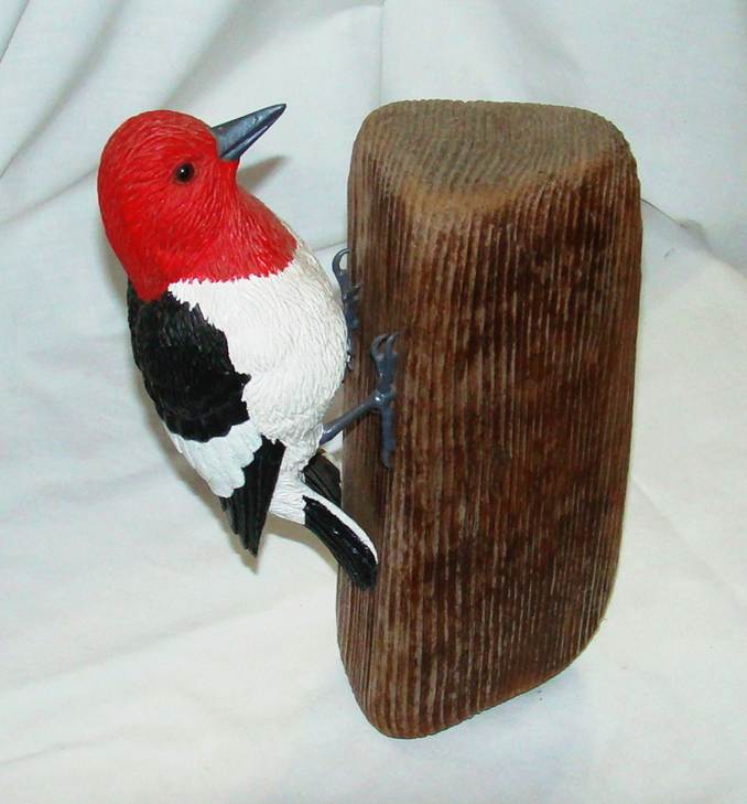A bird on a piece of wood

AI-generated content may be incorrect.