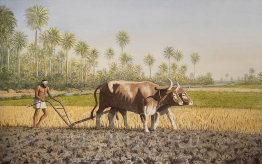 Ancient Mesopotamia Plow