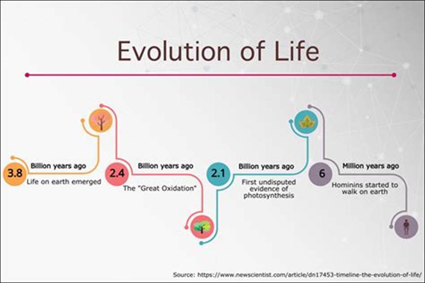 Creating A Life Timeline