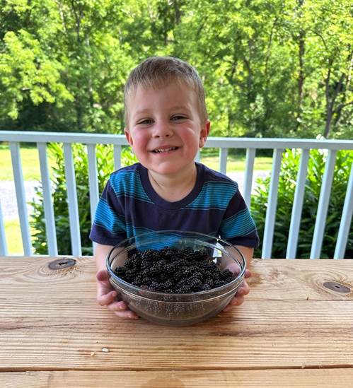 A child holding a bowl of blackberries

Description automatically generated