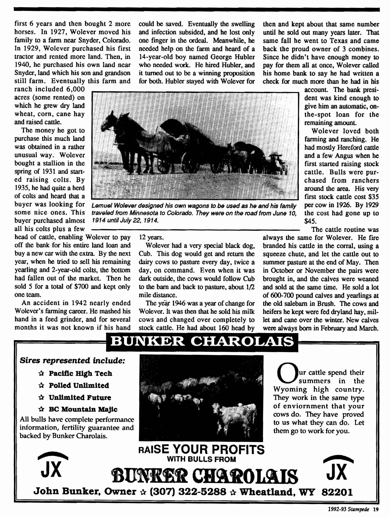 A newspaper article with images of horses

AI-generated content may be incorrect.